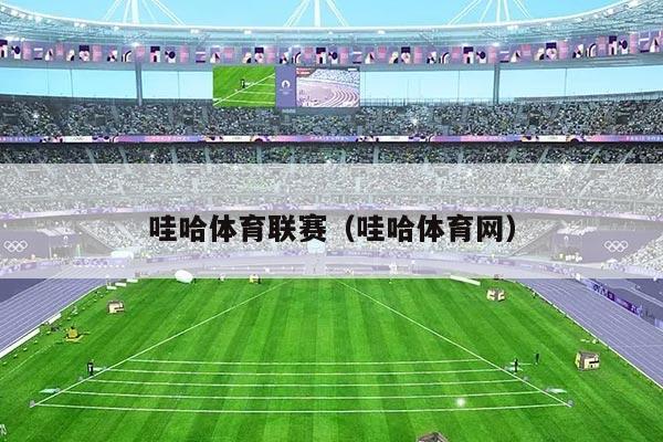 哇哈体育联赛（哇哈体育网）