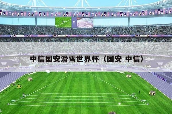 中信国安滑雪世界杯(国安 中信)