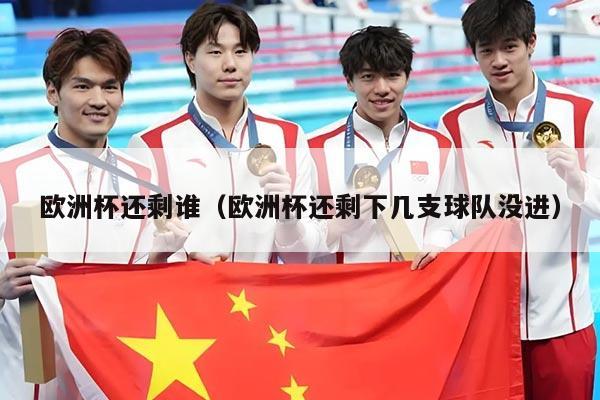 欧洲杯还剩谁（欧洲杯还剩下几支球队没进）