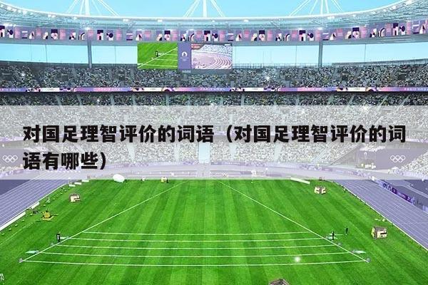对国足理智评价的词语（对国足理智评价的词语有哪些）