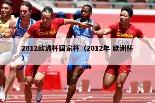 2012欧洲杯国家杯（2012年 欧洲杯）