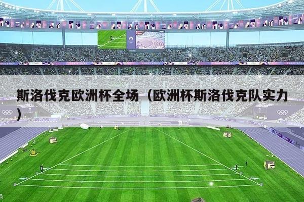 斯洛伐克欧洲杯全场（欧洲杯斯洛伐克队实力）