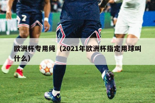 欧洲杯专用绳（2021年欧洲杯指定用球叫什么）