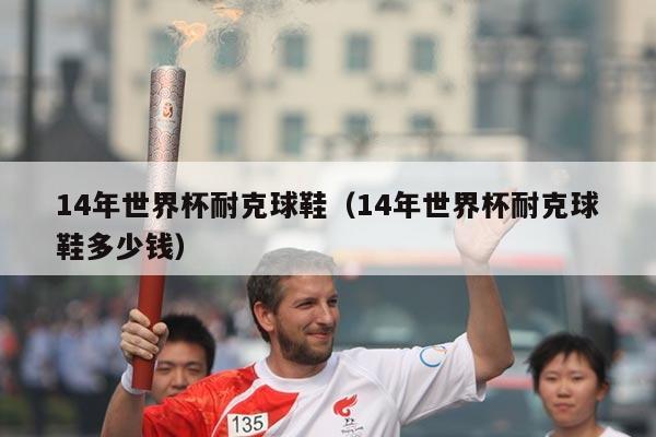 14年世界杯耐克球鞋（14年世界杯耐克球鞋多少钱）
