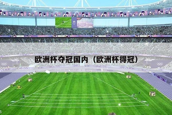 欧洲杯夺冠国内（欧洲杯得冠）