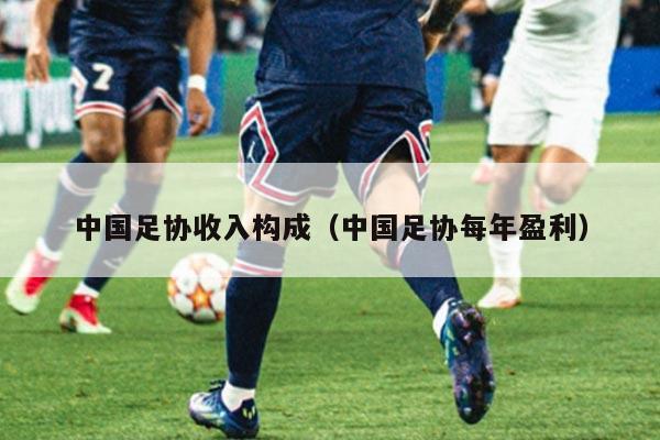 中国足协收入构成（中国足协每年盈利）