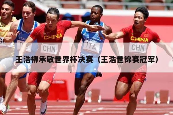 王浩柳承敏世界杯决赛（王浩世锦赛冠军）