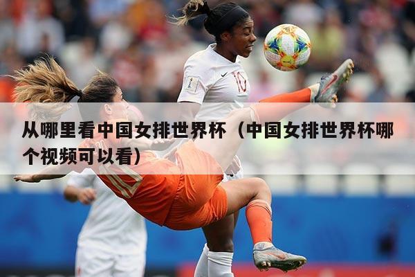 从哪里看中国女排世界杯（中国女排世界杯哪个视频可以看）