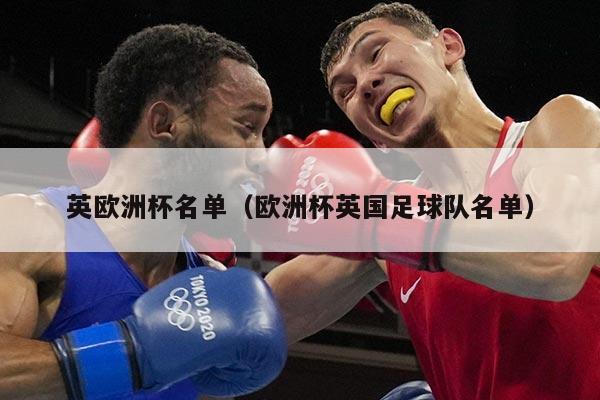 英欧洲杯名单（欧洲杯英国足球队名单）