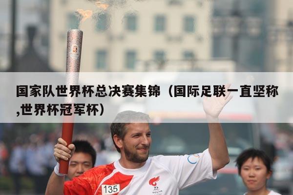 国家队世界杯总决赛集锦（国际足联一直坚称,世界杯冠军杯）