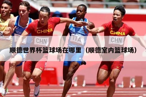 顺德世界杯篮球场在哪里（顺德室内篮球场）
