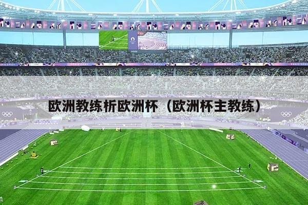 欧洲教练析欧洲杯（欧洲杯主教练）