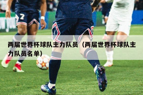 两届世界杯球队主力队员（两届世界杯球队主力队员名单）