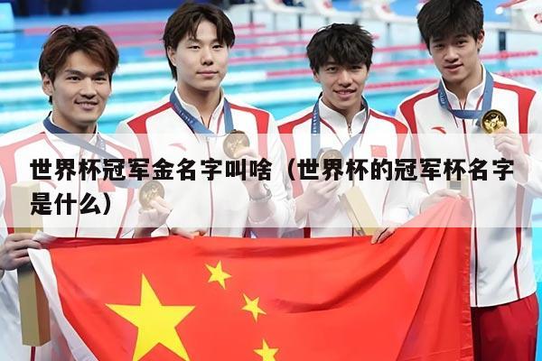 世界杯冠军金名字叫啥（世界杯的冠军杯名字是什么）