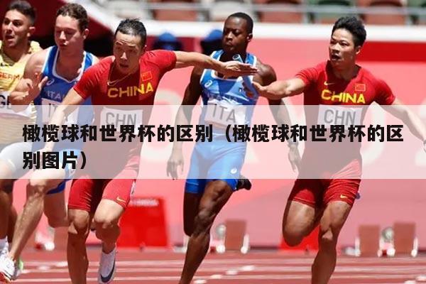 橄榄球和世界杯的区别（橄榄球和世界杯的区别图片）