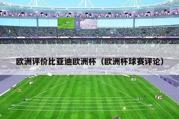 欧洲评价比亚迪欧洲杯（欧洲杯球赛评论）
