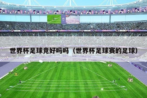 世界杯足球竞好吗吗（世界杯足球赛的足球）