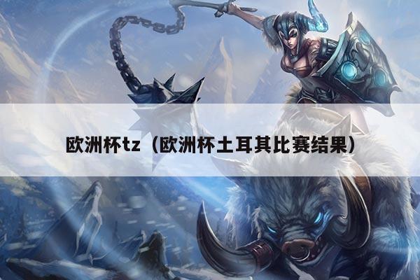 欧洲杯tz（欧洲杯土耳其比赛结果）