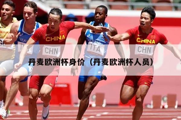 丹麦欧洲杯身价（丹麦欧洲杯人员）