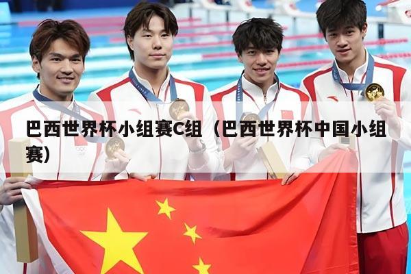 巴西世界杯小组赛C组（巴西世界杯中国小组赛）