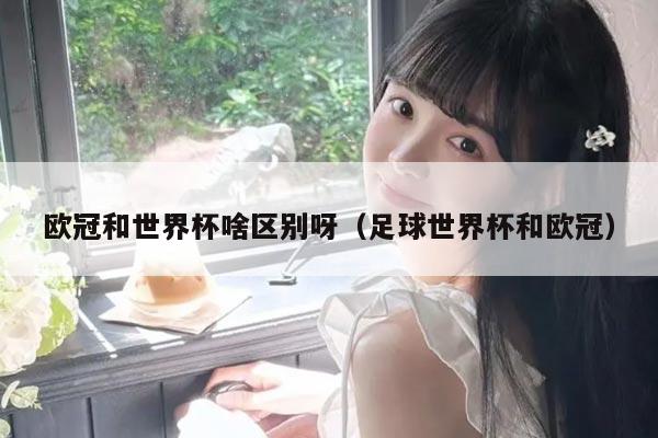 欧冠和世界杯啥区别呀（足球世界杯和欧冠）