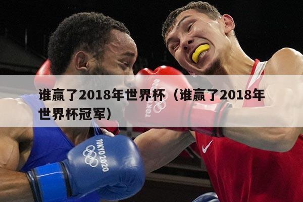 谁赢了2018年世界杯（谁赢了2018年世界杯冠军）