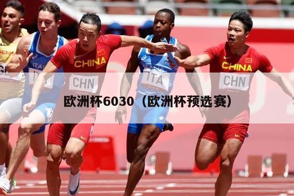 欧洲杯6030（欧洲杯预选赛）