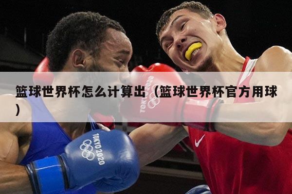 篮球世界杯怎么计算出（篮球世界杯官方用球）