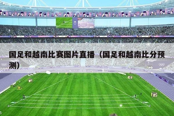 国足和越南比赛图片直播（国足和越南比分预测）