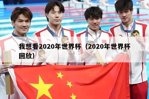 我想看2020年世界杯（2020年世界杯回放）