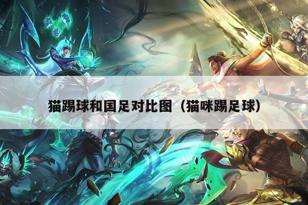 猫踢球和国足对比图（猫咪踢足球）