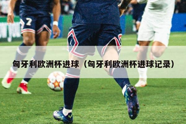 匈牙利欧洲杯进球（匈牙利欧洲杯进球记录）