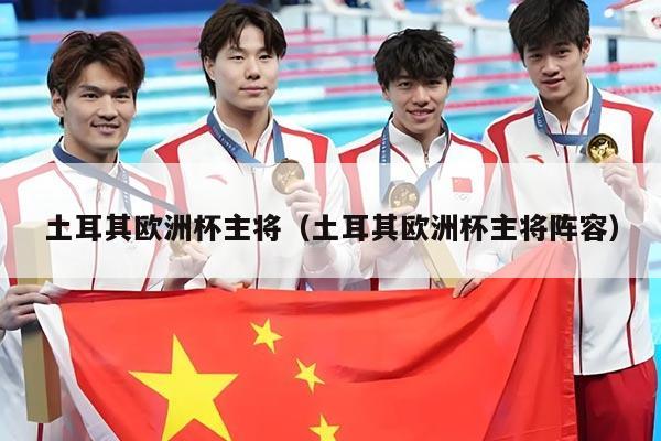 土耳其欧洲杯主将（土耳其欧洲杯主将阵容）