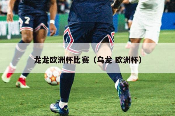 龙龙欧洲杯比赛（乌龙 欧洲杯）