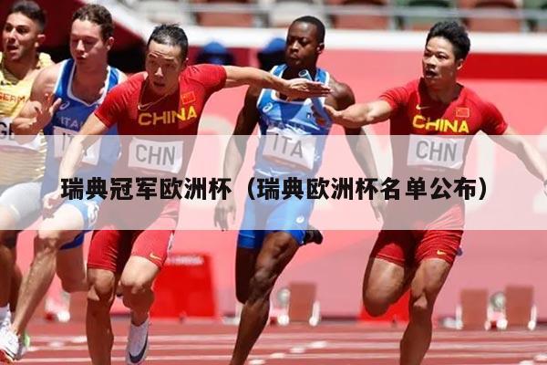 瑞典冠军欧洲杯（瑞典欧洲杯名单公布）