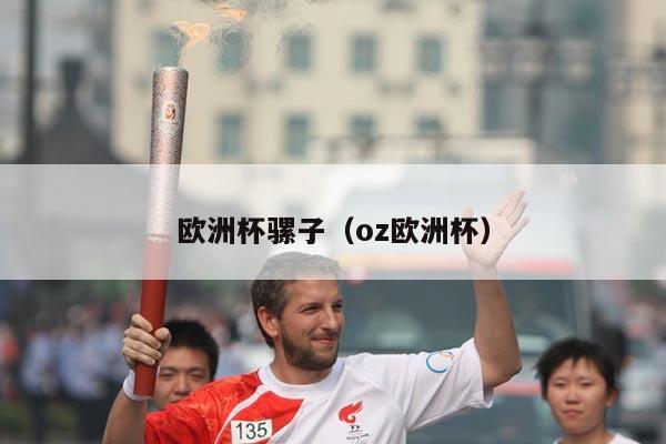 欧洲杯骡子（oz欧洲杯）