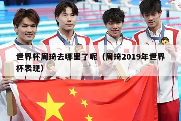 世界杯周琦去哪里了呢（周琦2019年世界杯表现）