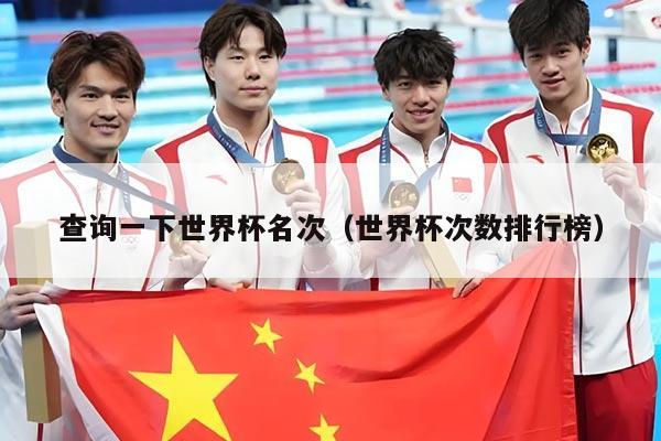 查询一下世界杯名次（世界杯次数排行榜）