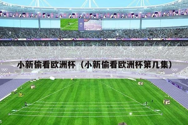 小新偷看欧洲杯（小新偷看欧洲杯第几集）