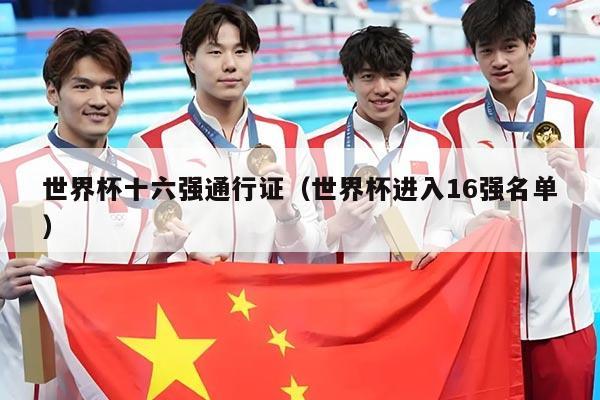 世界杯十六强通行证（世界杯进入16强名单）