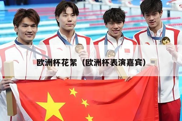 欧洲杯花絮（欧洲杯表演嘉宾）